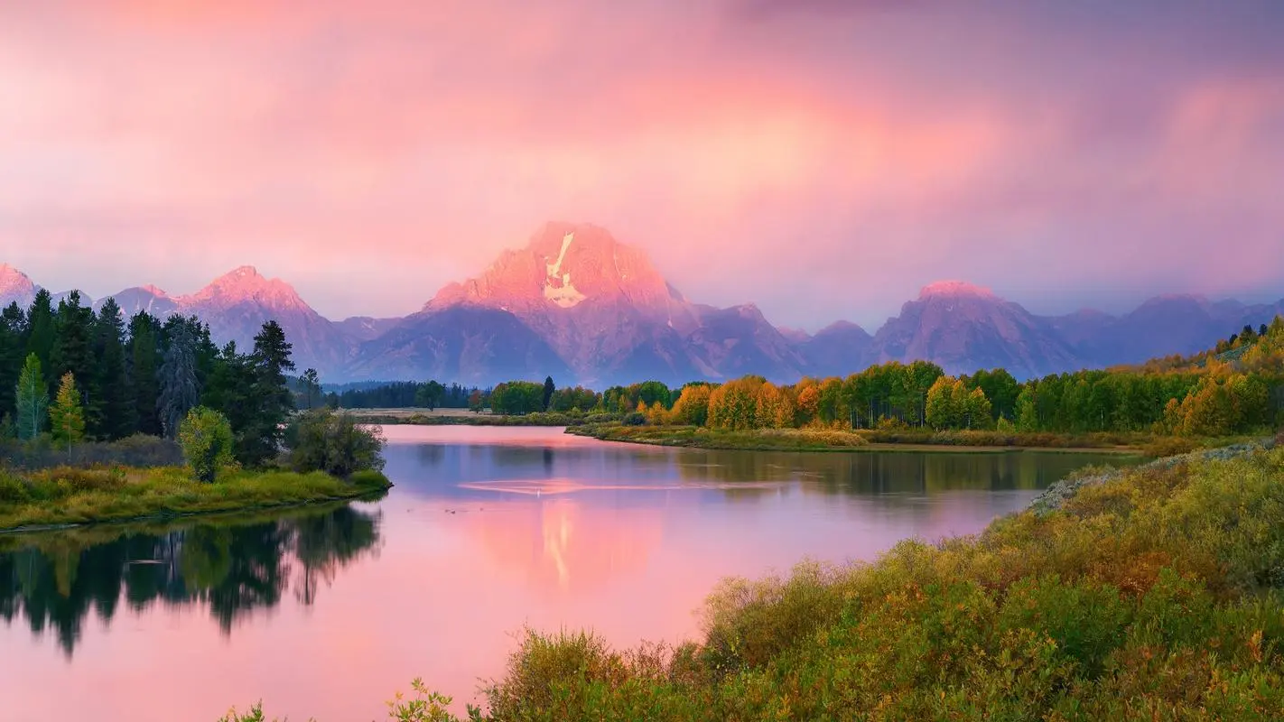 高效创新信息化